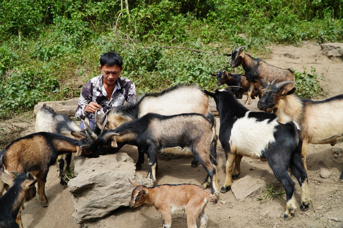 Điển hình trong phong trào thanh niên khởi nghiệp, lập nghiệp